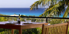 Noosa Real Estate